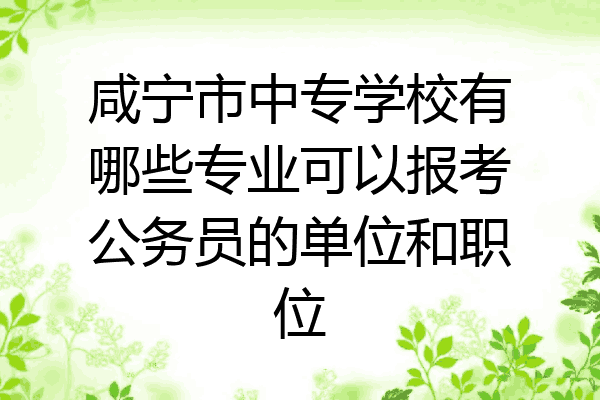 咸宁市中专学校有哪些专业可以报考公务员的单位和职位