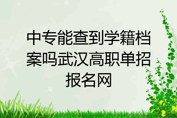 中专能查到学籍档案吗武汉高职单招报名网
