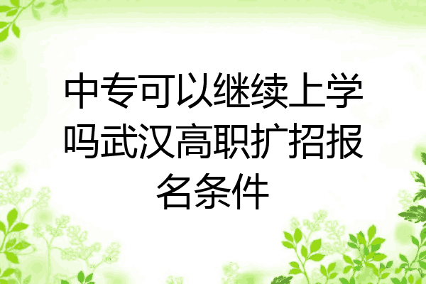 中专可以继续上学吗武汉高职扩招报名条件