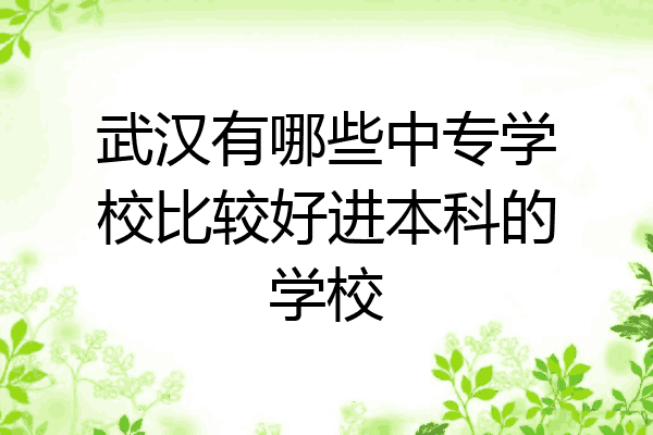 武汉有哪些中专学校比较好进本科的学校