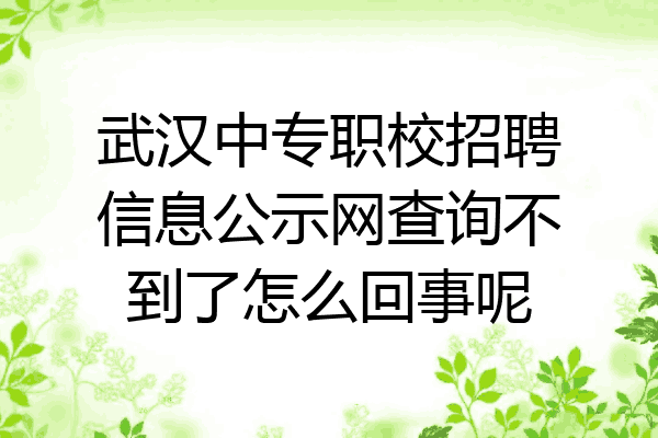武汉中专职校招聘信息公示网查询不到了怎么回事呢