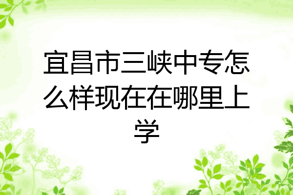 宜昌市三峡中专怎么样现在在哪里上学