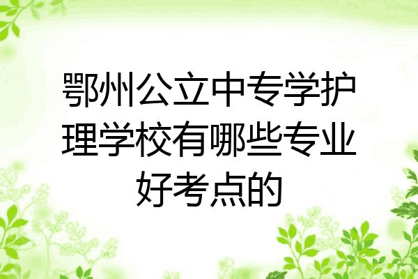 鄂州公立中专学护理学校有哪些专业好考点的