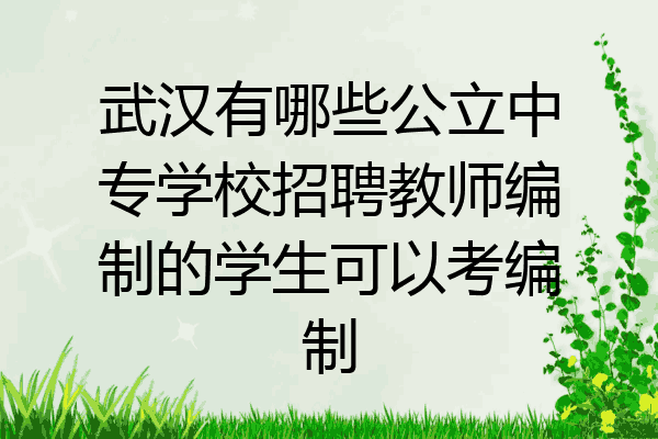 武汉有哪些公立中专学校招聘教师编制的学生可以考编制