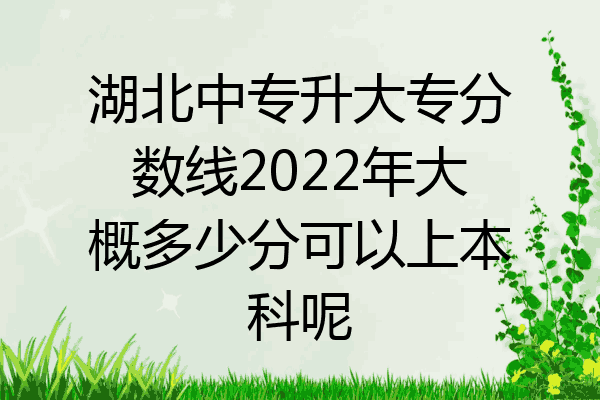 湖北中专升大专分数线2022年大概多少分可以上本科呢