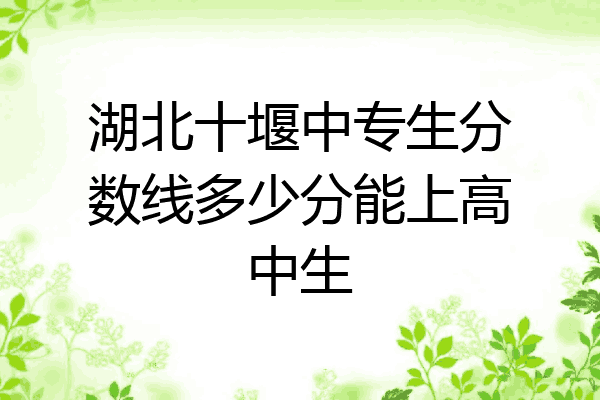 湖北十堰中专生分数线多少分能上高中生
