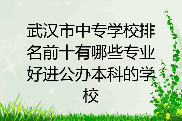武汉市中专学校排名前十有哪些专业好进公办本科的学校