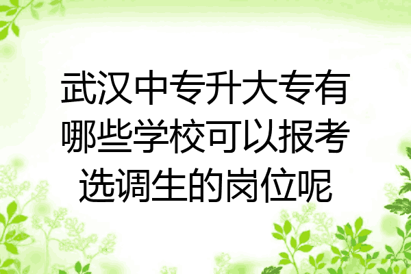 武汉中专升大专有哪些学校可以报考选调生的岗位呢
