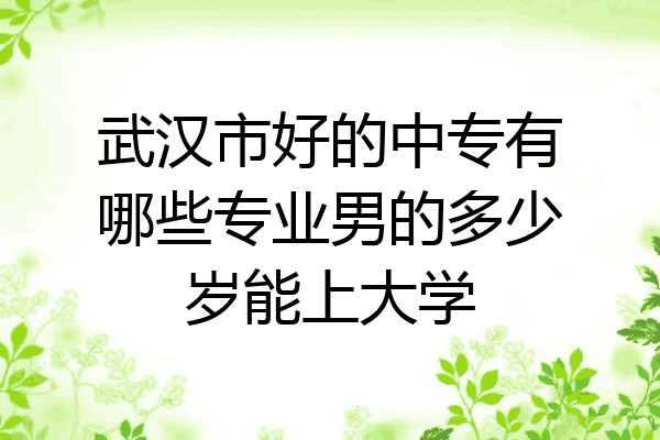 武汉市好的中专有哪些专业男的多少岁能上大学