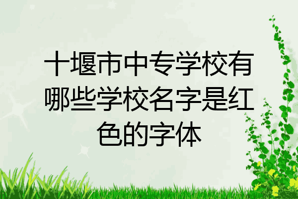 十堰市中专学校有哪些学校名字是红色的字体