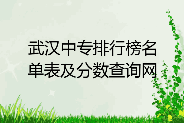 武汉中专排行榜名单表及分数查询网