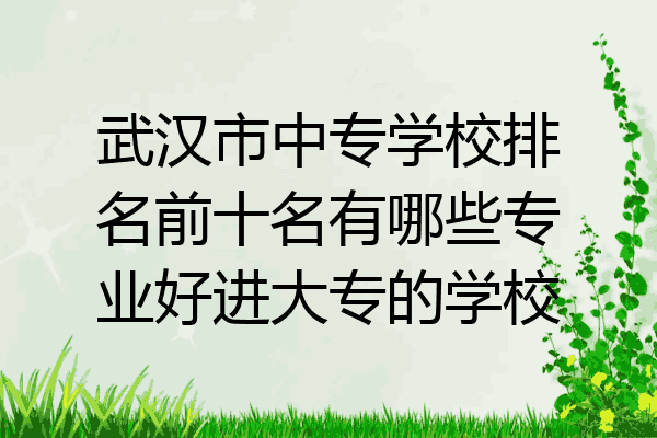 武汉市中专学校排名前十名有哪些专业好进大专的学校