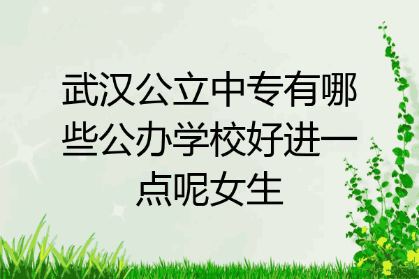 武汉公立中专有哪些公办学校好进一点呢女生
