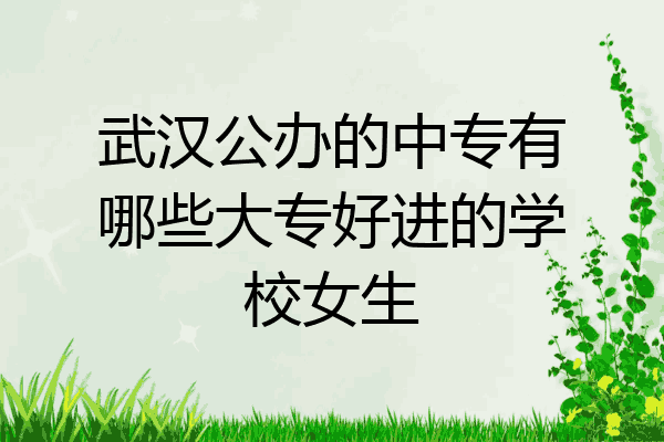 武汉公办的中专有哪些大专好进的学校女生