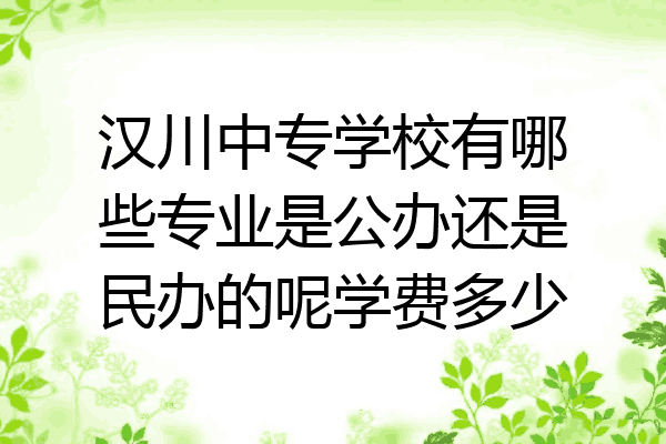 汉川中专学校有哪些专业是公办还是民办的呢学费多少