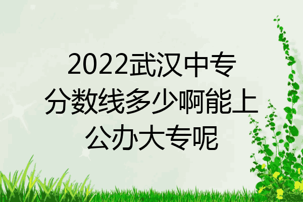 2022武汉中专分数线多少啊能上公办大专呢