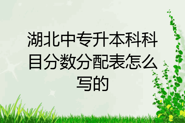 湖北中专升本科科目分数分配表怎么写的