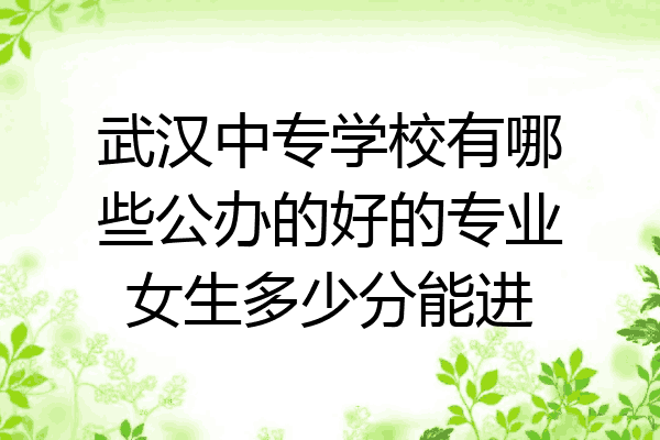 武汉中专学校有哪些公办的好的专业女生多少分能进