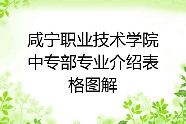 咸宁职业技术学院中专部专业介绍表格图解