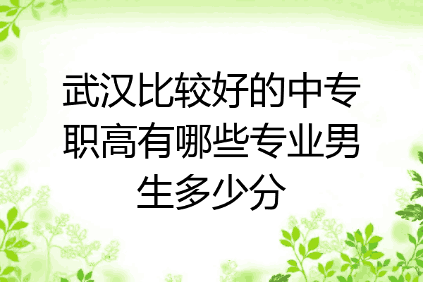 武汉比较好的中专职高有哪些专业男生多少分