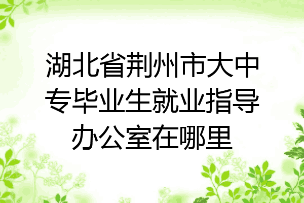 湖北省荆州市大中专毕业生就业指导办公室在哪里