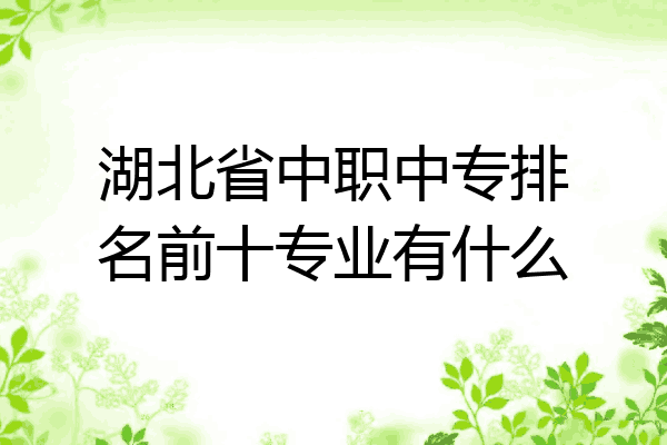 湖北省中职中专排名前十专业有什么