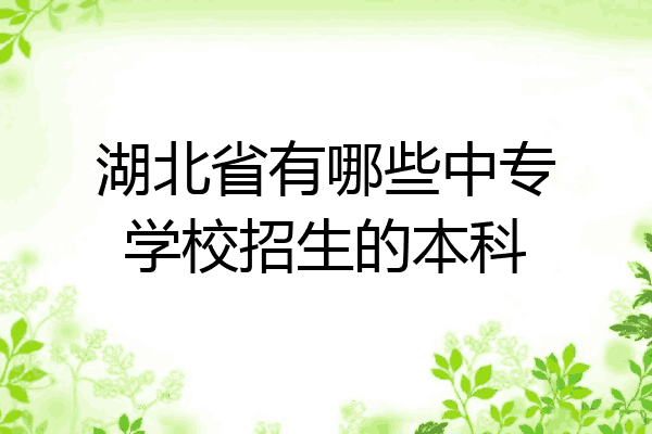 湖北省有哪些中专学校招生的本科