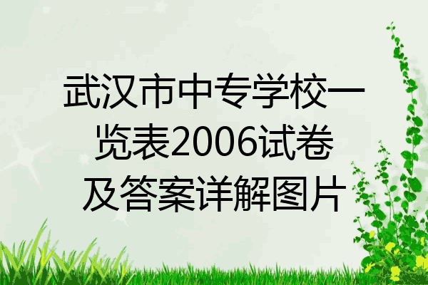 武汉市中专学校一览表2006试卷及答案详解图片