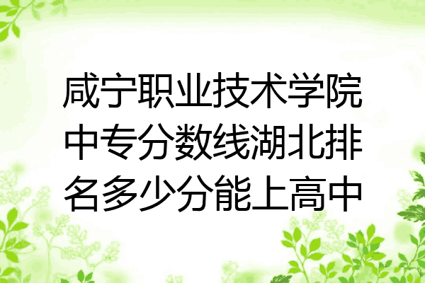 咸宁职业技术学院中专分数线湖北排名多少分能上高中