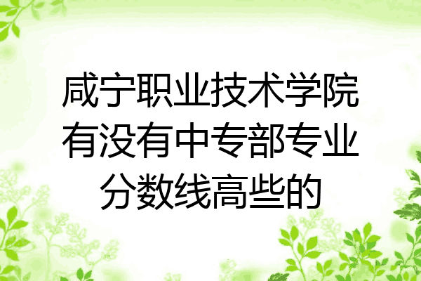 咸宁职业技术学院有没有中专部专业分数线高些的