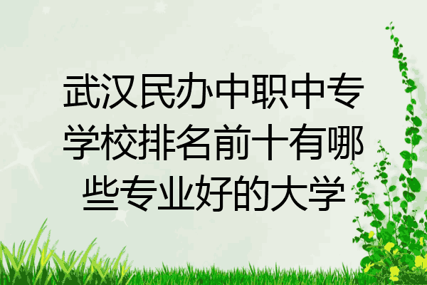 武汉民办中职中专学校排名前十有哪些专业好的大学