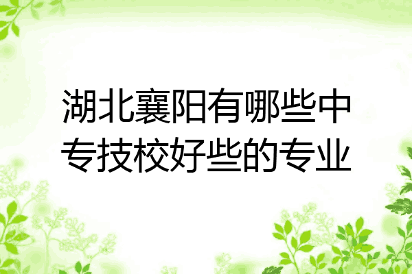 湖北襄阳有哪些中专技校好些的专业