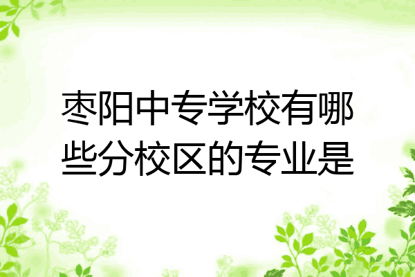 枣阳中专学校有哪些分校区的专业是