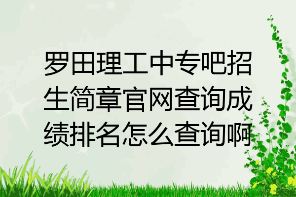 罗田理工中专吧招生简章官网查询成绩排名怎么查询啊