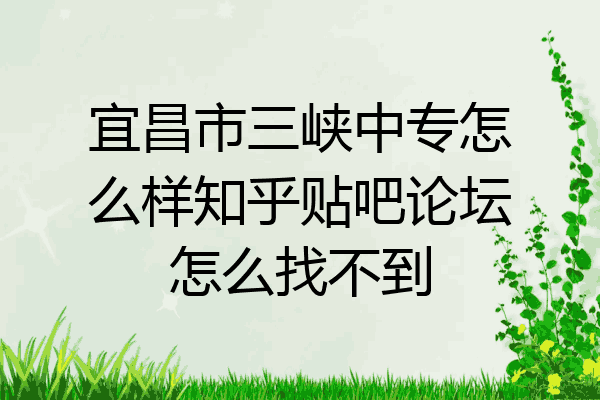 宜昌市三峡中专怎么样知乎贴吧论坛怎么找不到