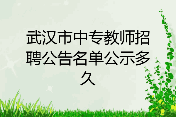 武汉市中专教师招聘公告名单公示多久