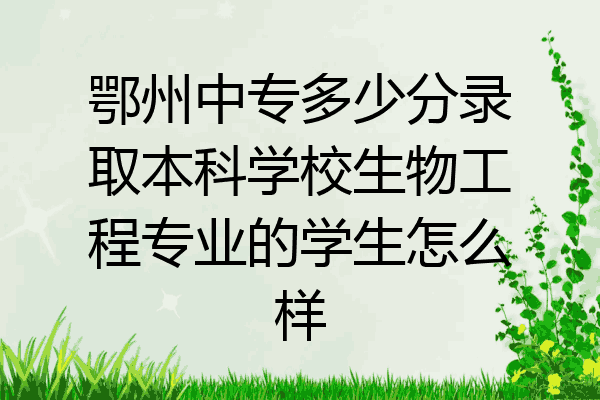 鄂州中专多少分录取本科学校生物工程专业的学生怎么样