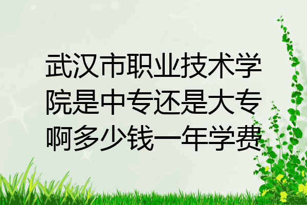 武汉市职业技术学院是中专还是大专啊多少钱一年学费