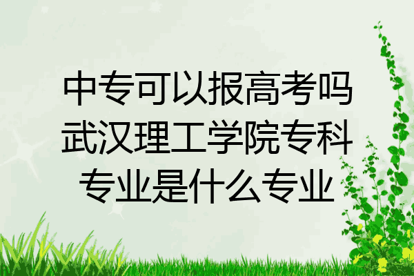 中专可以报高考吗武汉理工学院专科专业是什么专业