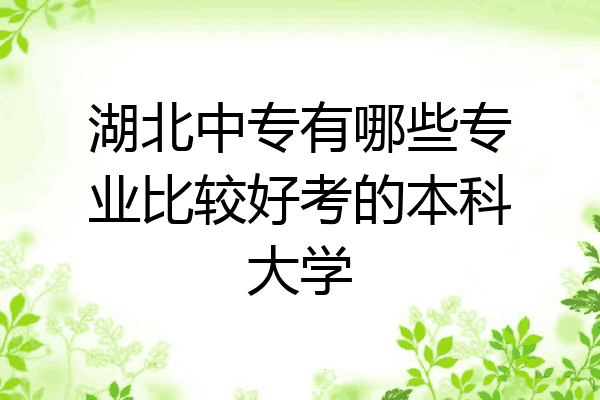 湖北中专有哪些专业比较好考的本科大学