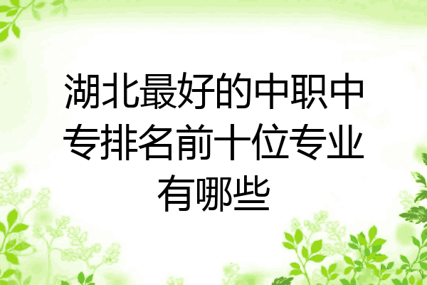 湖北最好的中职中专排名前十位专业有哪些
