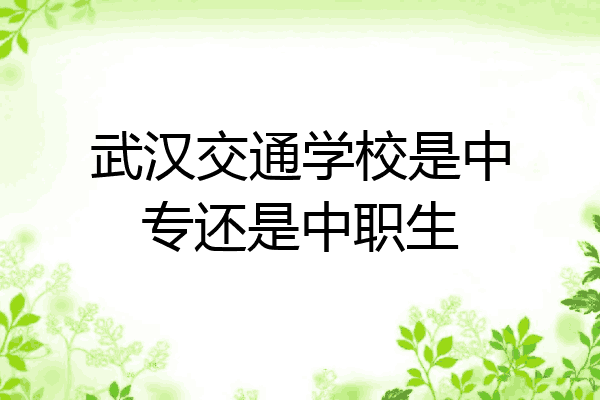 武汉交通学校是中专还是中职生