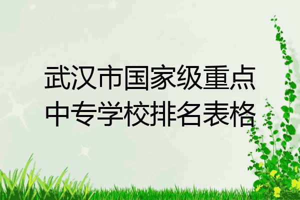 武汉市国家级重点中专学校排名表格