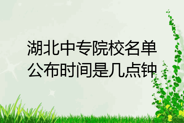 湖北中专院校名单公布时间是几点钟