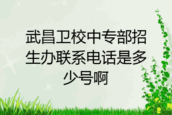武昌卫校中专部招生办联系电话是多少号啊