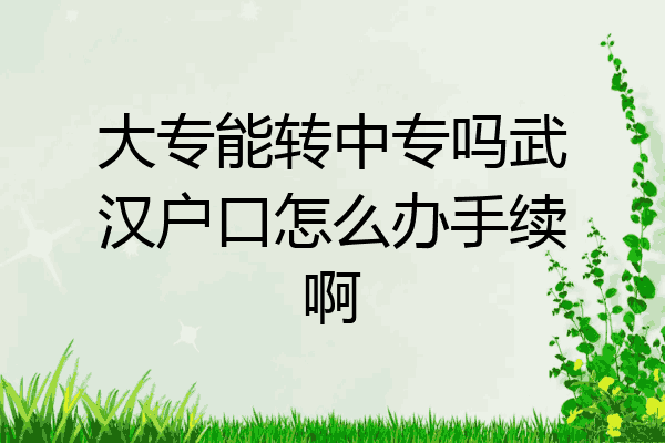 大专能转中专吗武汉户口怎么办手续啊