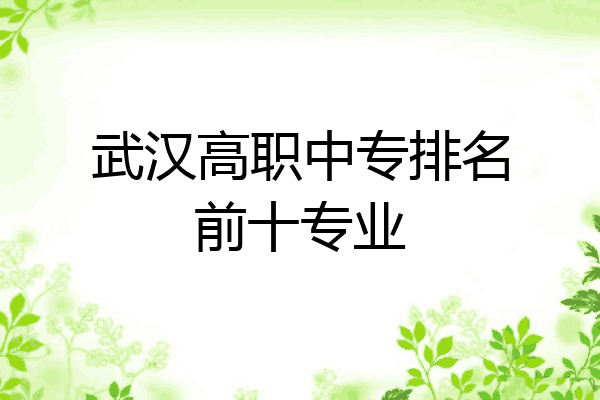 武汉高职中专排名前十专业