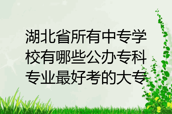 湖北省所有中专学校有哪些公办专科专业最好考的大专