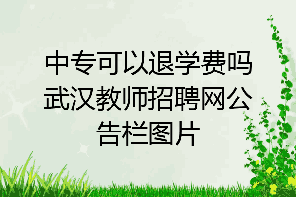 中专可以退学费吗武汉教师招聘网公告栏图片