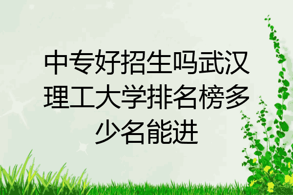 中专好招生吗武汉理工大学排名榜多少名能进